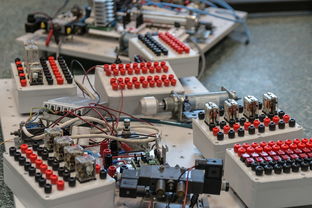 开云平台-数字化转型：青训系统中的大数据应用，数字化转型_青训系统中的大数据应用有哪些