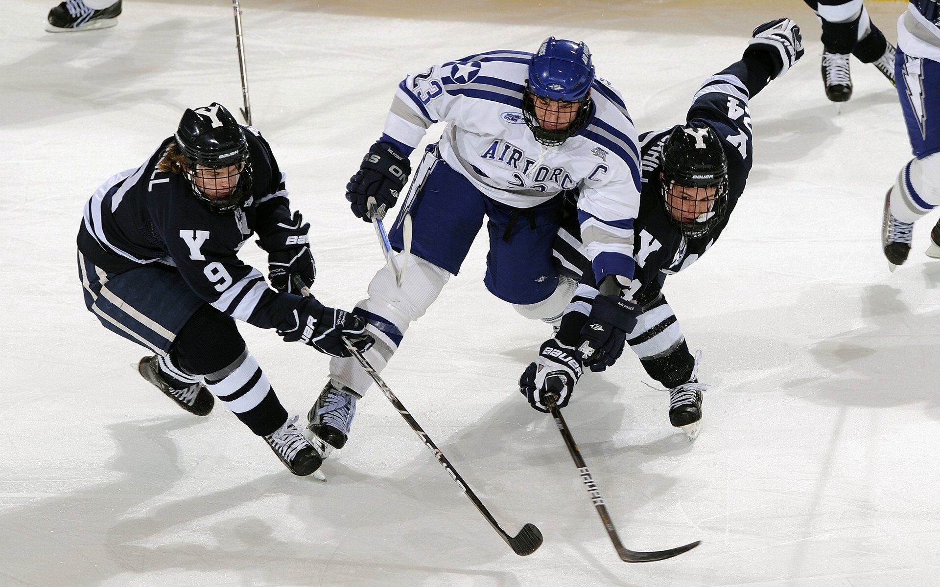 数字化转型：青训系统中的大数据应用，数字化转型_青训系统中的大数据应用有哪些