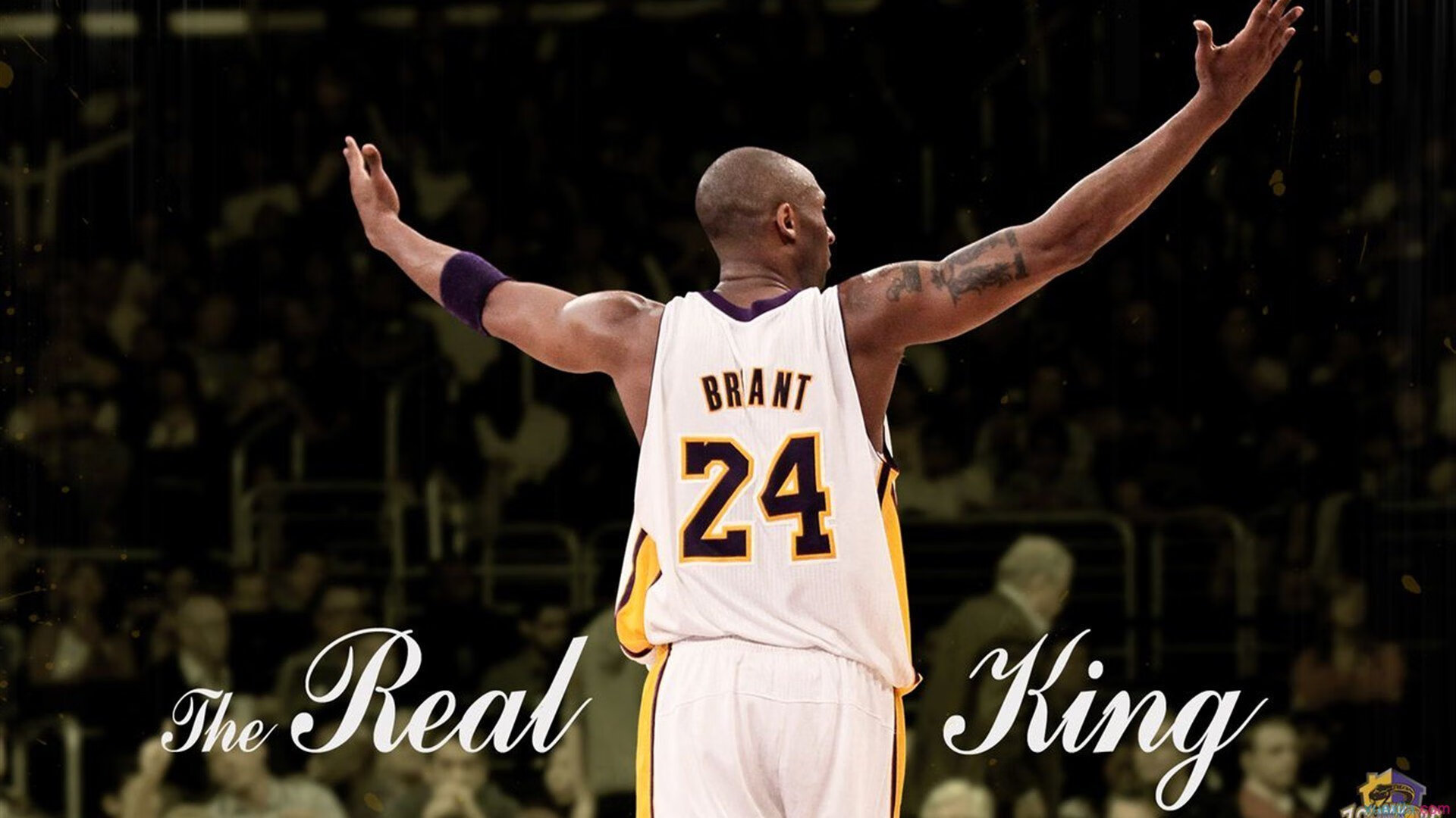 开云体育官方网站登陆-APEX英雄 赛季末战况白热化，apex赛季初白金